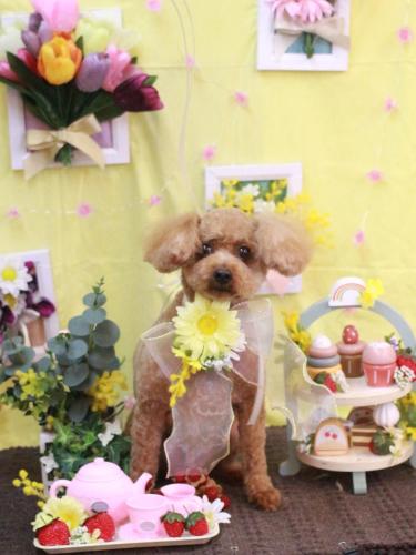 20230309マリンくん